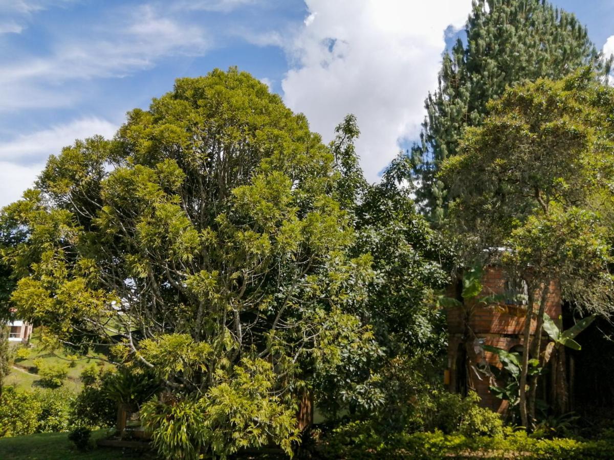 Hotel Hevilat Paraiso De Oriente Рионегро Экстерьер фото